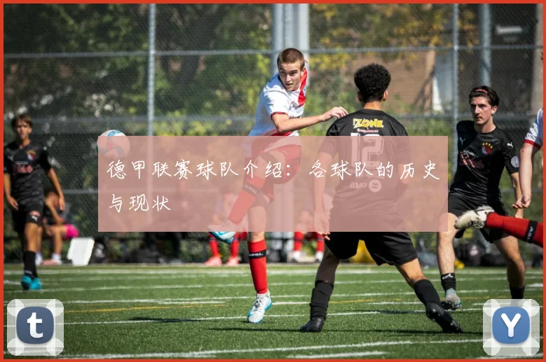 德甲联赛球队介绍：各球队的历史与现状