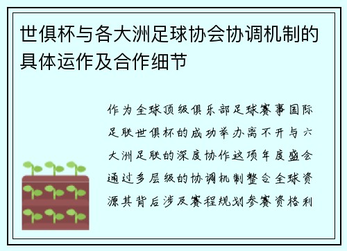 世俱杯与各大洲足球协会协调机制的具体运作及合作细节